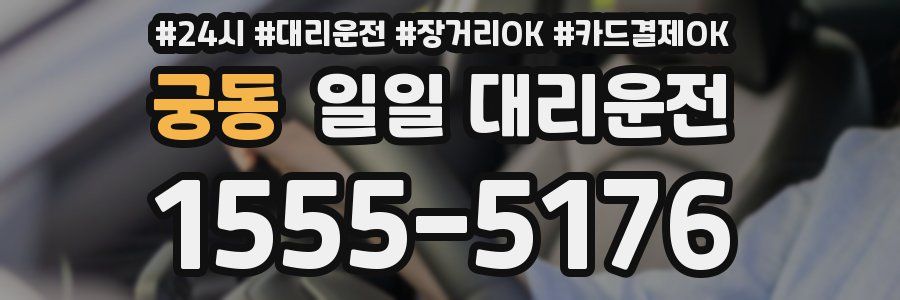 궁동 일일 대리운전