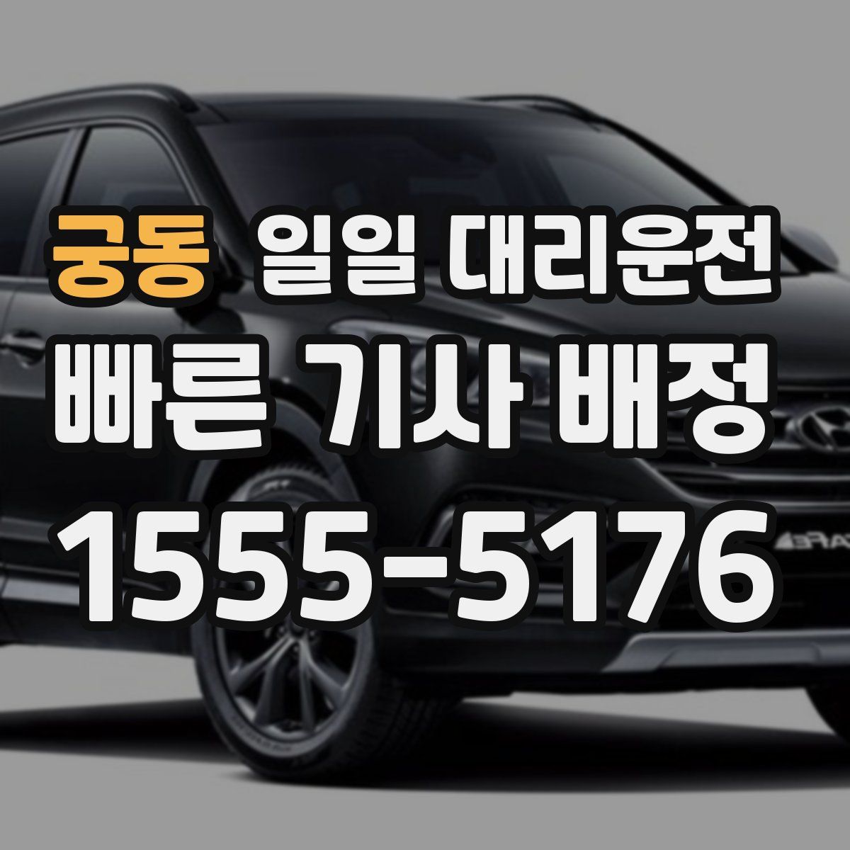 궁동 일일 대리운전