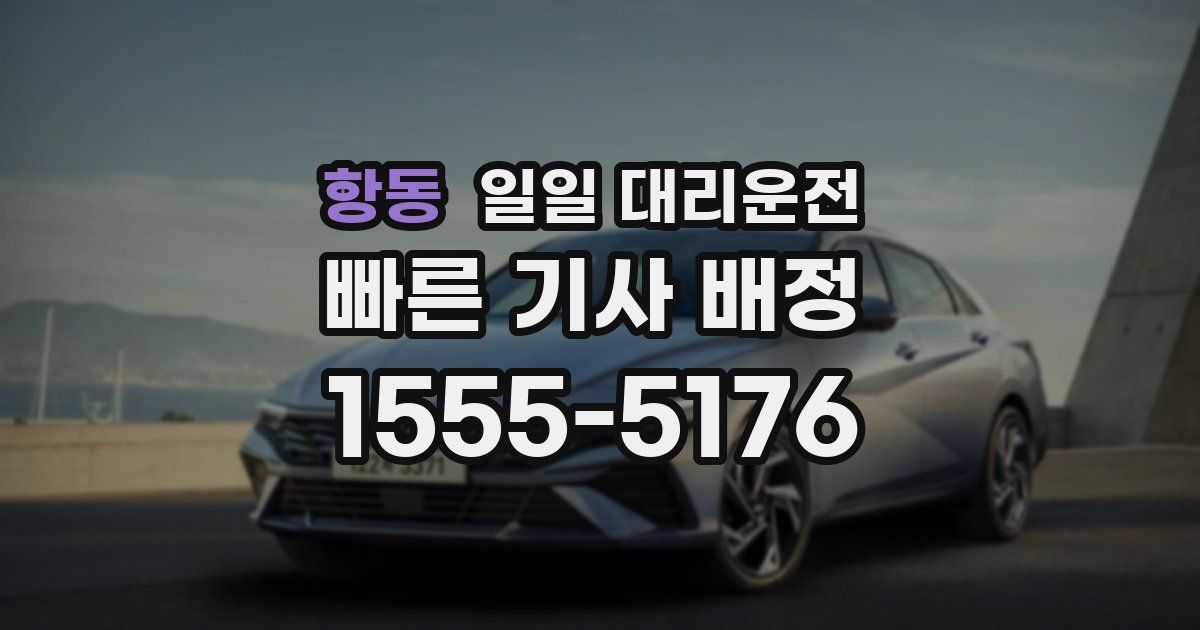 항동 일일 대리운전