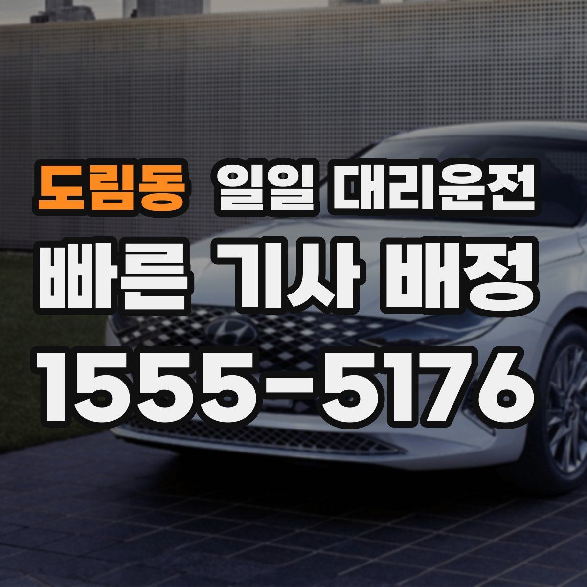 도림동 일일 대리운전