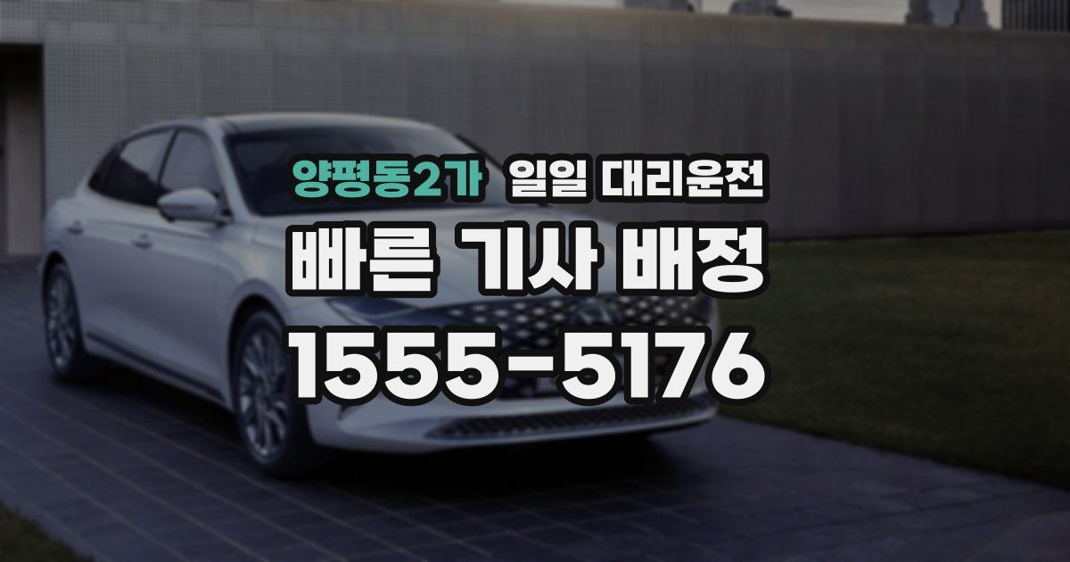 양평동2가 일일 대리운전