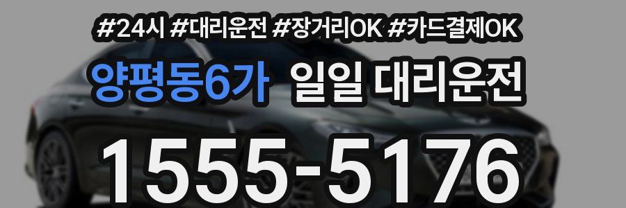 양평동6가 일일 대리운전