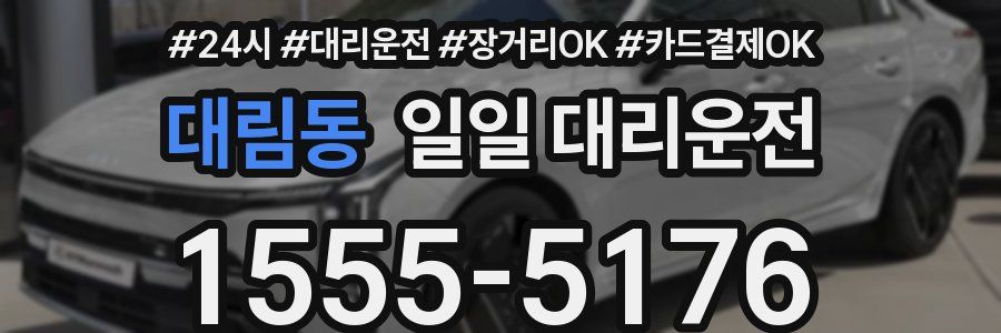 대림동 일일 대리운전