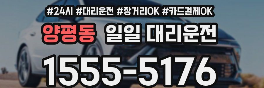양평동 일일 대리운전