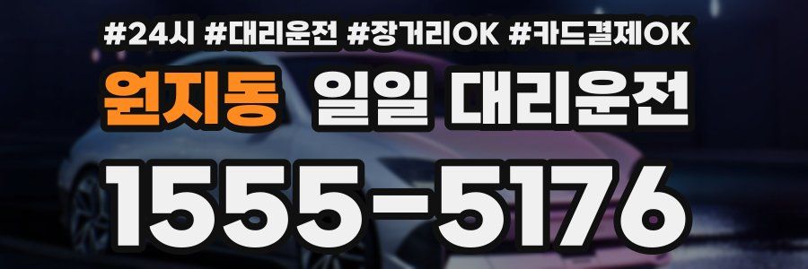 원지동 일일 대리운전