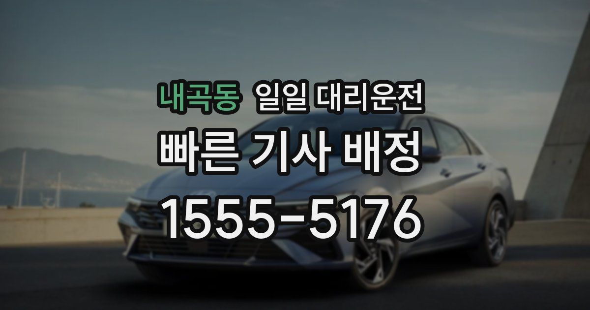 내곡동 일일 대리운전
