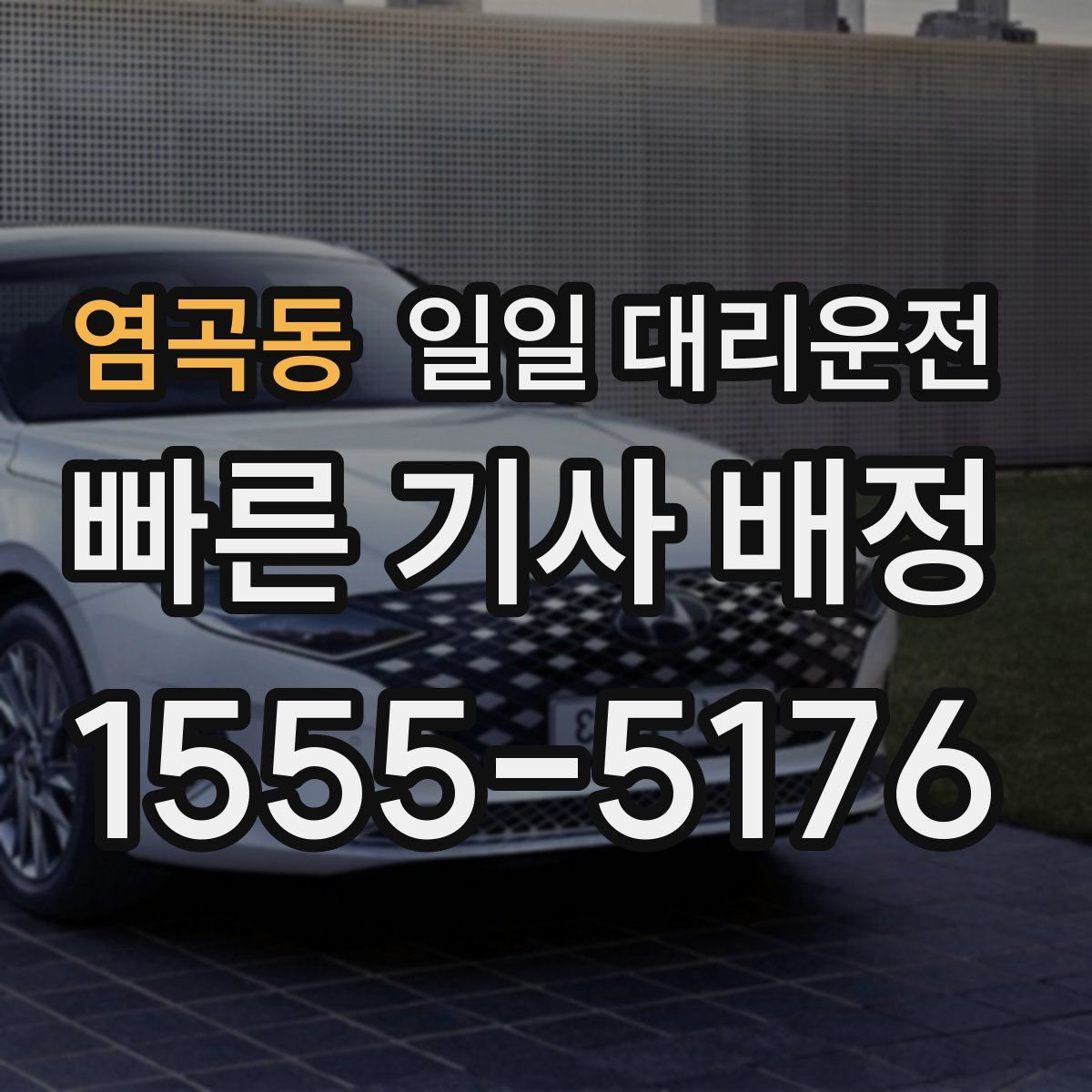 염곡동 일일 대리운전