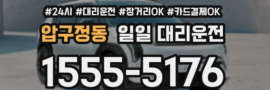 압구정동 일일 대리운전