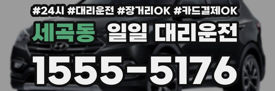 세곡동 일일 대리운전