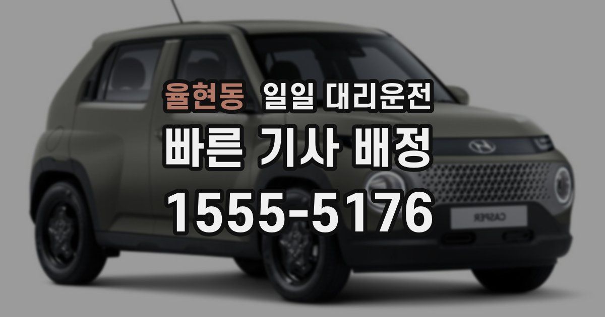 율현동 일일 대리운전