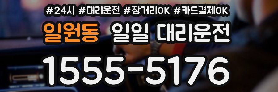 일원동 일일 대리운전