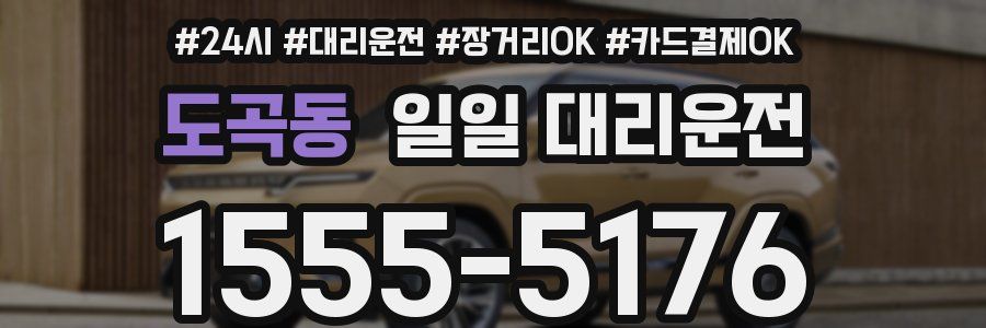 도곡동 일일 대리운전