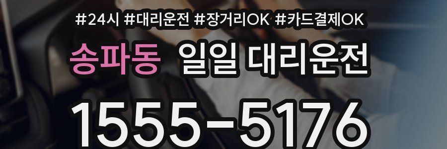 송파동 일일 대리운전