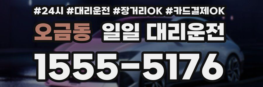 오금동 일일 대리운전