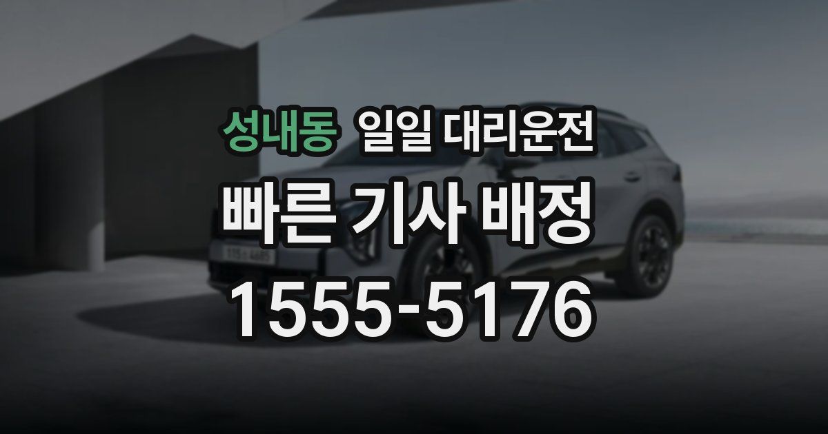 성내동 일일 대리운전