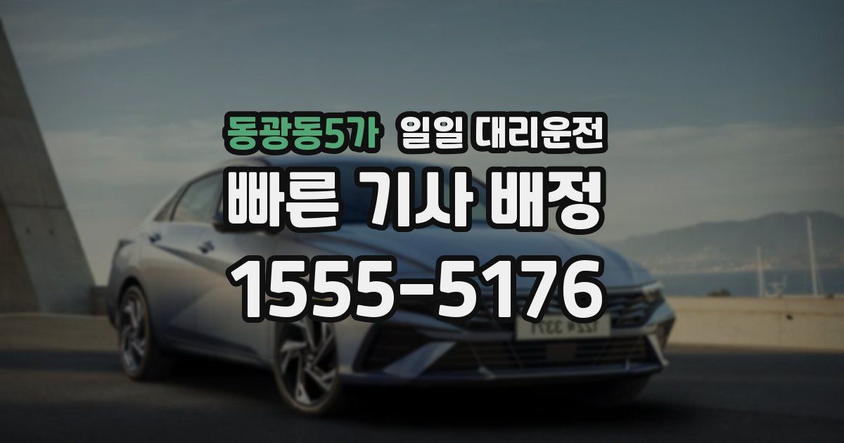 동광동5가 일일 대리운전
