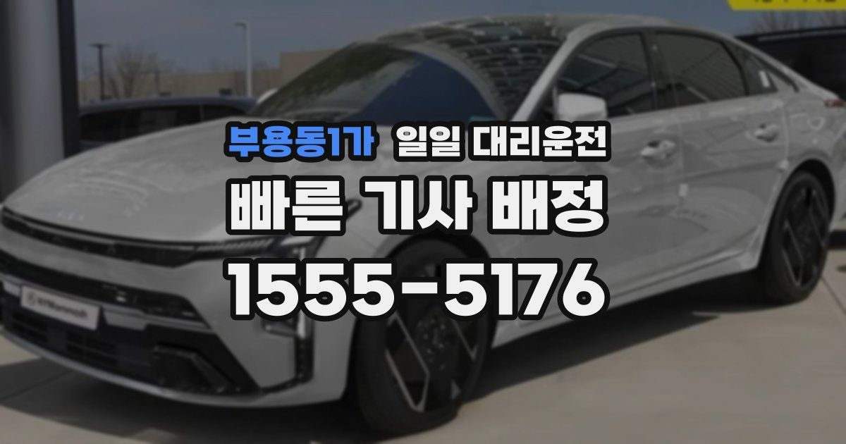 부용동1가 일일 대리운전