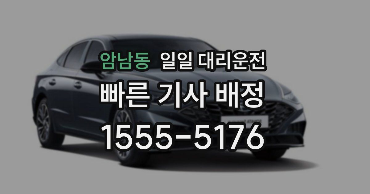 암남동 일일 대리운전