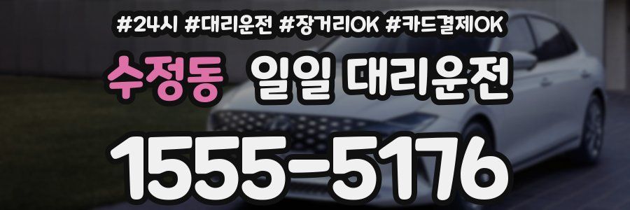 수정동 일일 대리운전