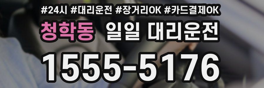 청학동 일일 대리운전