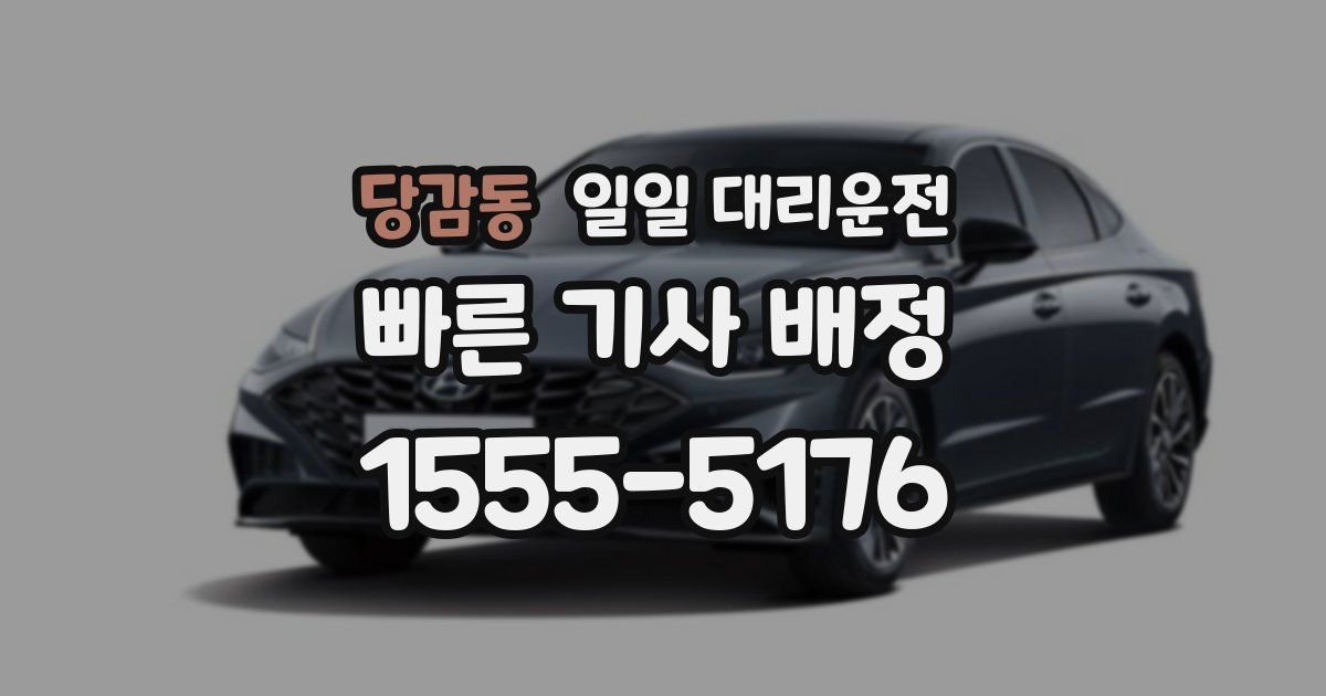 당감동 일일 대리운전