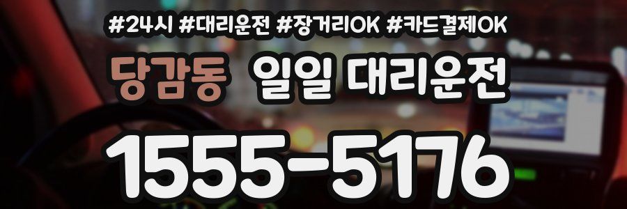 당감동 일일 대리운전