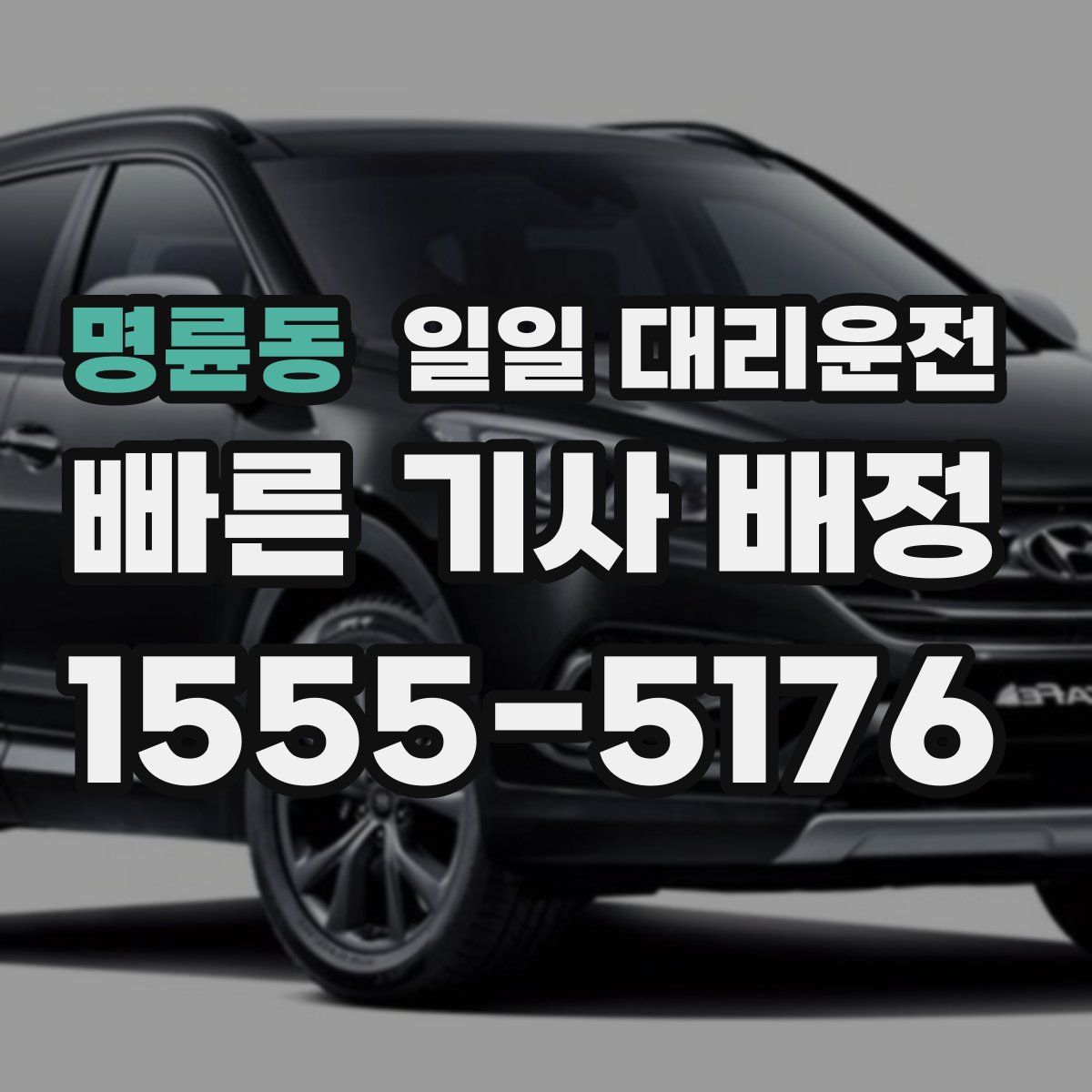 명륜동 일일 대리운전