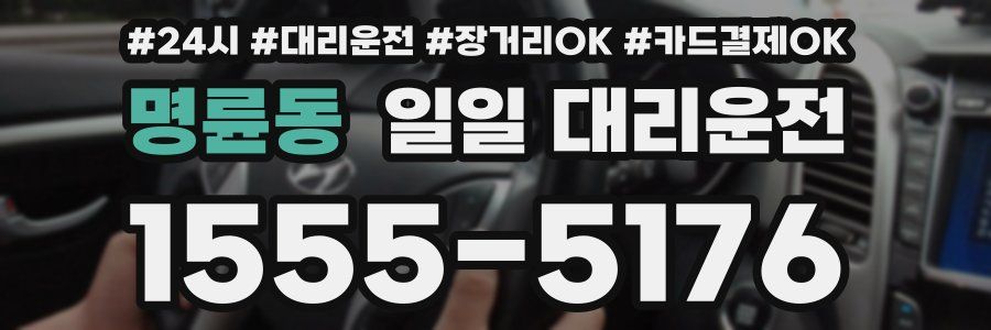 명륜동 일일 대리운전