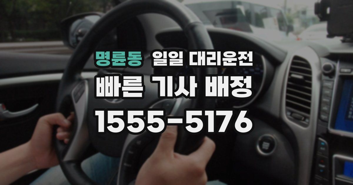 명륜동 일일 대리운전