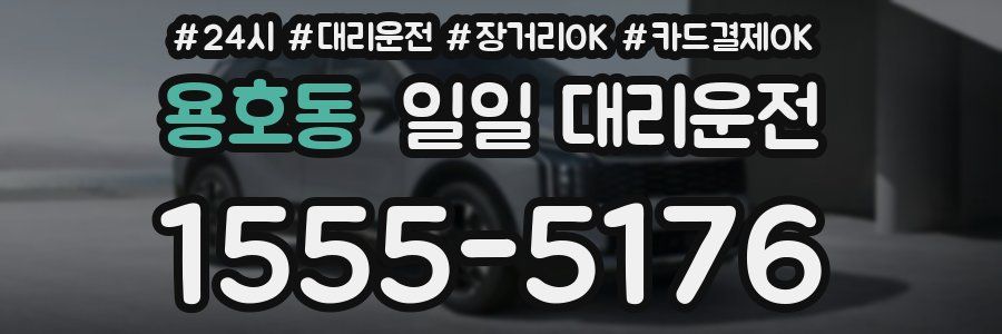 용호동 일일 대리운전