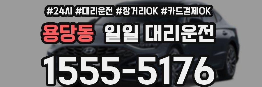 용당동 일일 대리운전