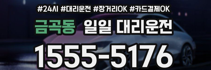 금곡동 일일 대리운전