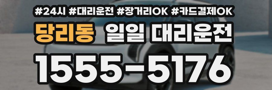 당리동 일일 대리운전