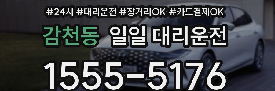 감천동 일일 대리운전