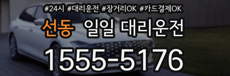 선동 일일 대리운전