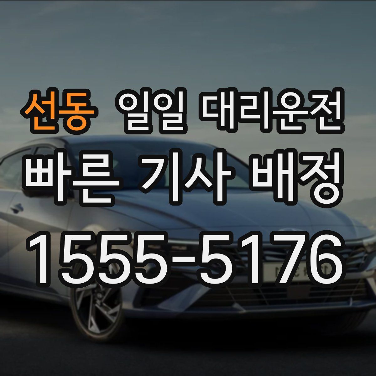 선동 일일 대리운전