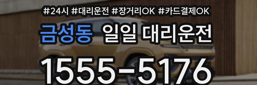 금성동 일일 대리운전