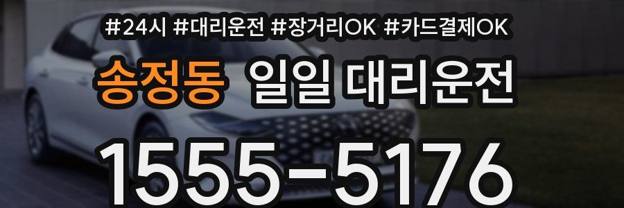 송정동 일일 대리운전