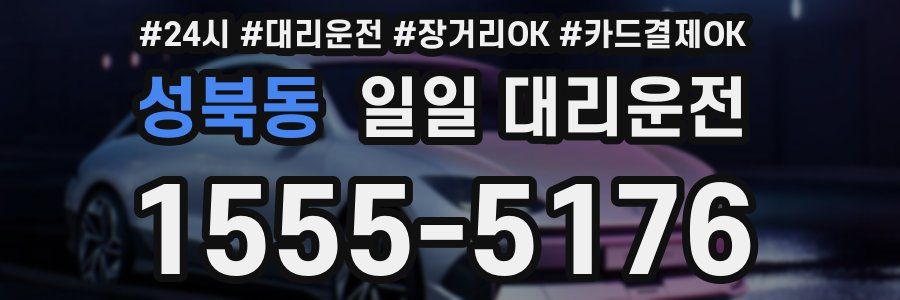 성북동 일일 대리운전