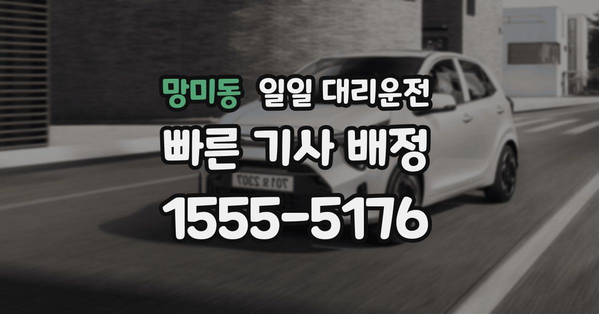 망미동 일일 대리운전