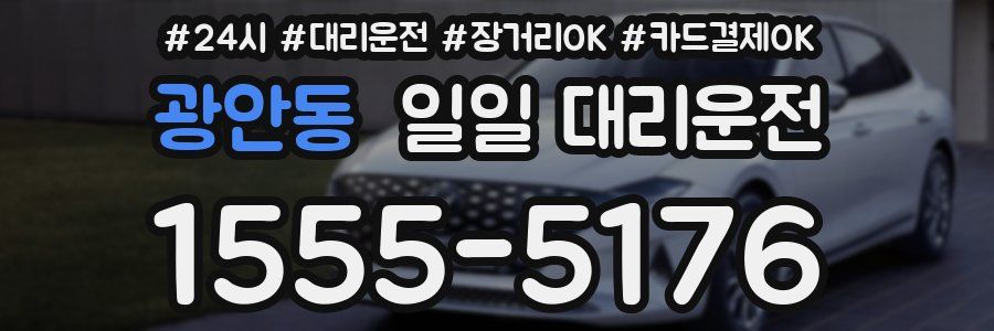 광안동 일일 대리운전