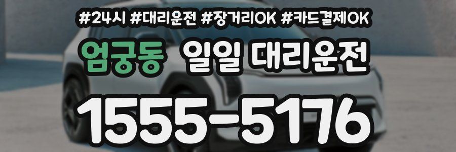 엄궁동 일일 대리운전
