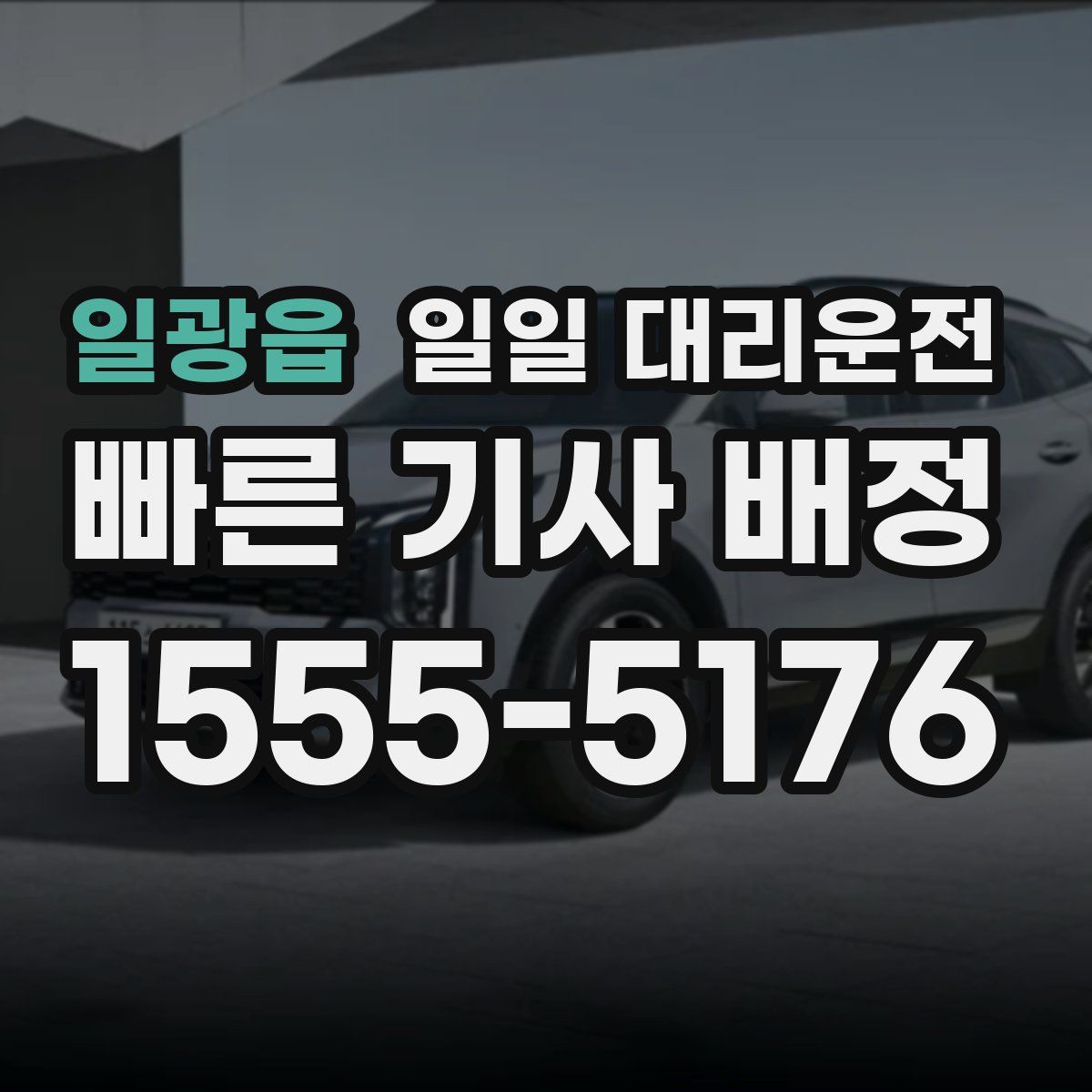 일광읍 일일 대리운전
