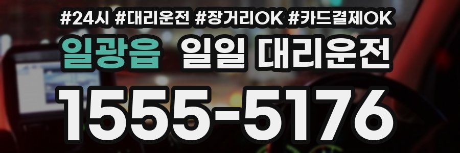 일광읍 일일 대리운전