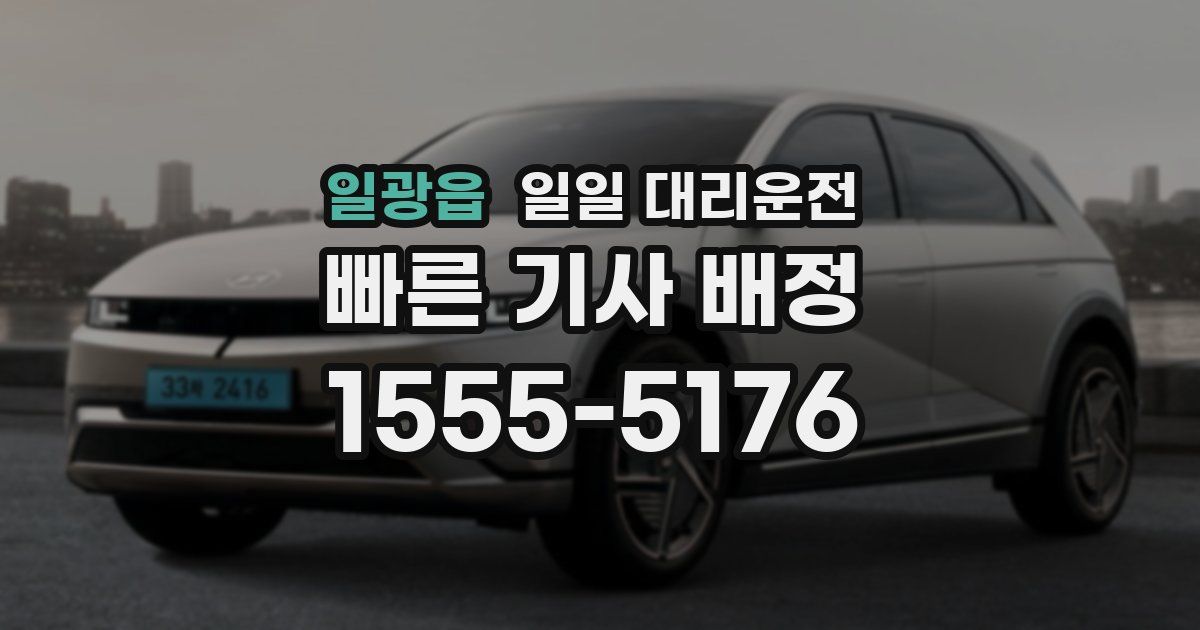 일광읍 일일 대리운전