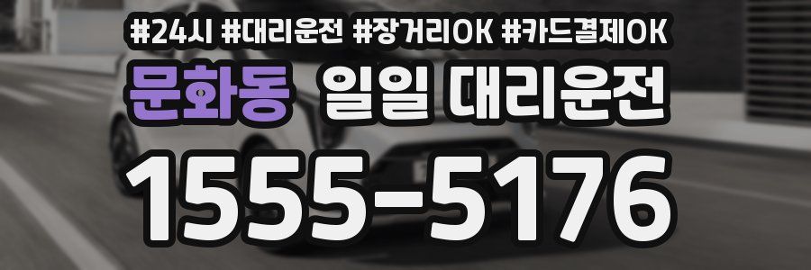 문화동 일일 대리운전