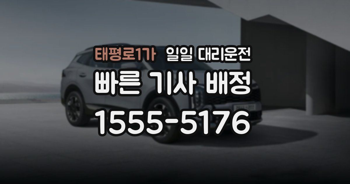 태평로1가 일일 대리운전