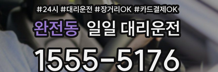 완전동 일일 대리운전