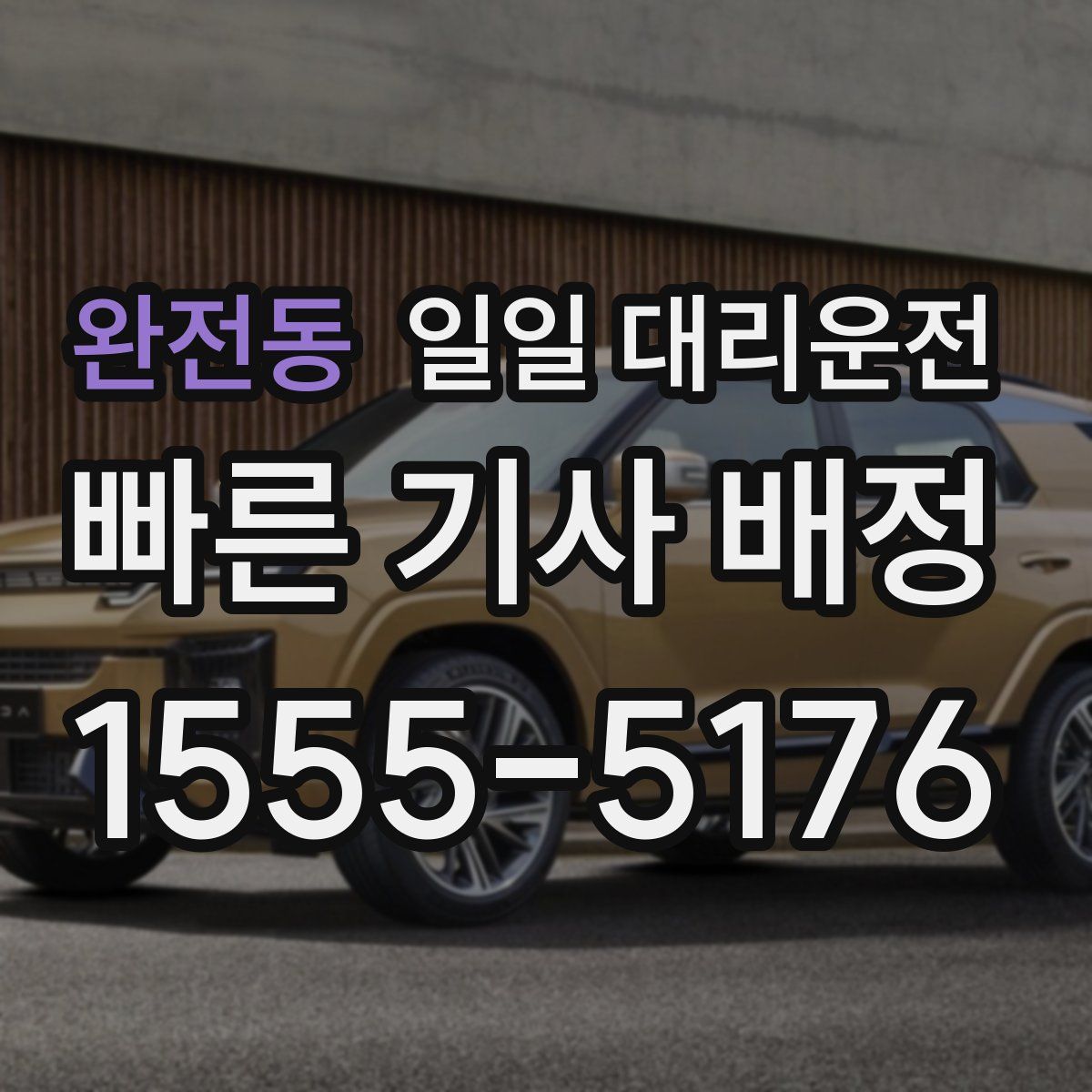 완전동 일일 대리운전