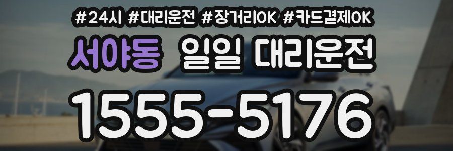 서야동 일일 대리운전